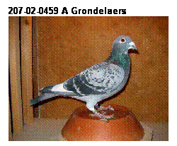 Text Box: 207-02-0459 A Grondelaers
